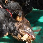 IMG_1550