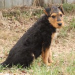 Maggie